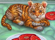 play My Baby Tiger