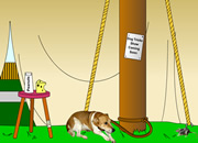 play Animal Shelter Escape 2: Oddball'S A - Fair