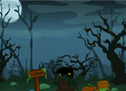 play Spooky Night Escape