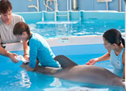 play Hidden Numbers-Dolphin Tale