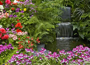 play Reasure Hunt - Colorful Garden