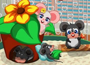 play Mouse Home