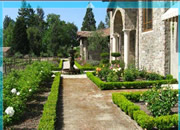 play Secret Vineyard