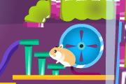 play Hamster Kingdom
