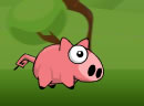 play Oink Bunk