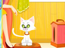 play Virtual Cat Management