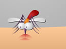 play Kill Mosquito