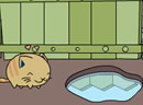 play Cats In Love