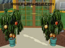 play Greenhouse Escape