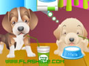 play Pet Care