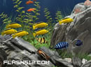 play Hidden Objects-Under Water