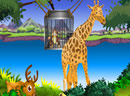 play Animal Cage Escape