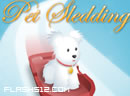 Pet Sledding