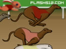 Greyhound Racing Tycoon