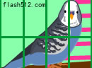 play Budgie Escape