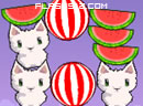 play Cat Cat Watermelon