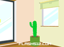 play Cactus Room