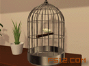 play The Cage