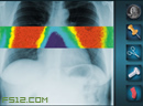 play Crazy Cat Scan