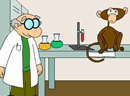 play Monkey Experiment