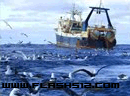 play Oceansurvivor