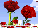 play Valentine Rose