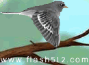 play Snapshot