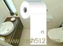 play Toilet