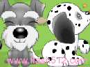 play Pet Guess