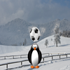 play Penguin Soccer