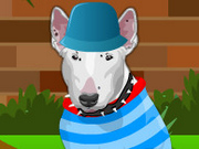 play Bull Terrier Dog