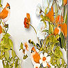 Orange Sparrows Slide Puzzle