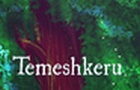 play Temeshkeru