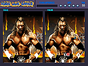 play Wrestling Stars Differences
