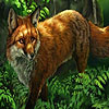 play Solitary Fox Puzzle