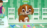 play Pet Beauty Corner