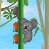 play Koala Vs Bugs