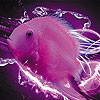 play Tropical Sea Fish Slide Puzzle