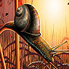 play Interesting Snails Puzzle