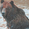 play Dun Bear In The Lake Puzzle