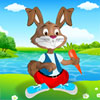 play Rabbit Dress Up