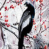 play Long Tailed Bird Slide Puzzle