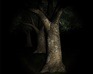 play Slender (3D)