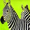 play Green Safari Zebras Puzzle