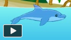 play Dolphin Game For Girls