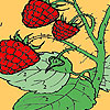 play Red Berry Garden Coloring