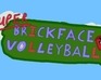 play Super Brickface Volleyball