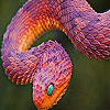 play Desert Snake Puzzle