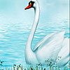 play Fabulous White Swans Puzzle