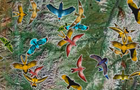 play Pahjong Swarm